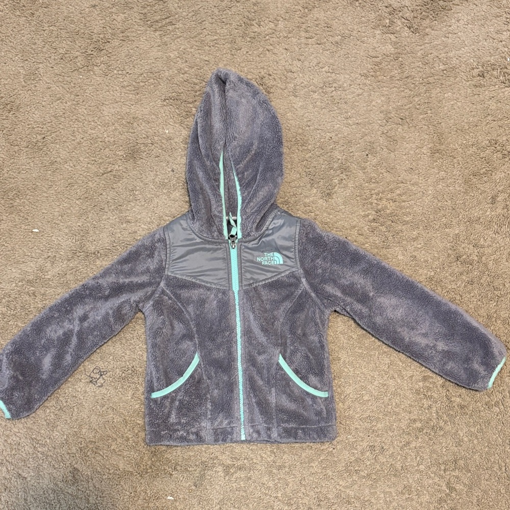 The North Face Kids Gray and Teal Fleece Hoodie